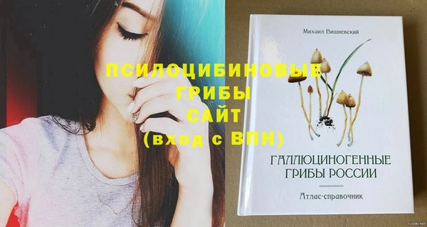 мдпв Мегион