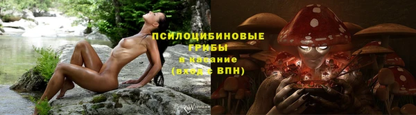 мдпв Мегион