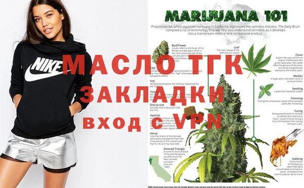 сатива Магадан