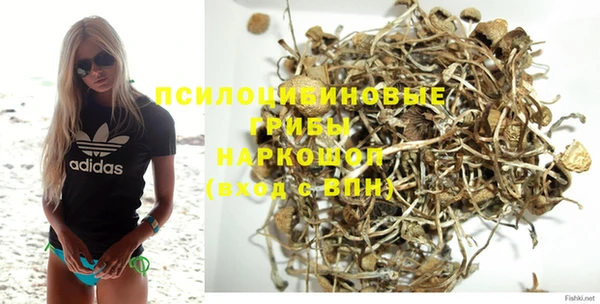 сатива Магадан
