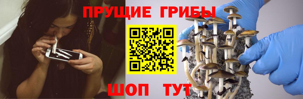 Галлюциногенные грибы MAGIC MUSHROOMS  Вход с VPN  Сосновый Бор 